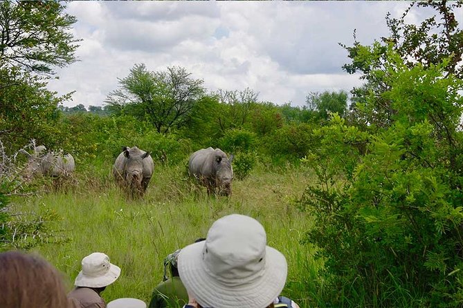 10 Day Zimbabwe and Chobe NP Tour - Key points at a glance