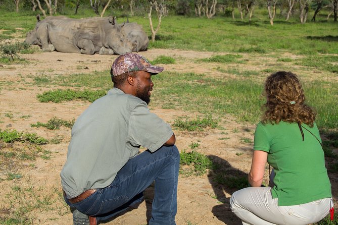 10 Day Zimbabwe and Chobe NP Tour - Two focused days among Hwange’s elephants