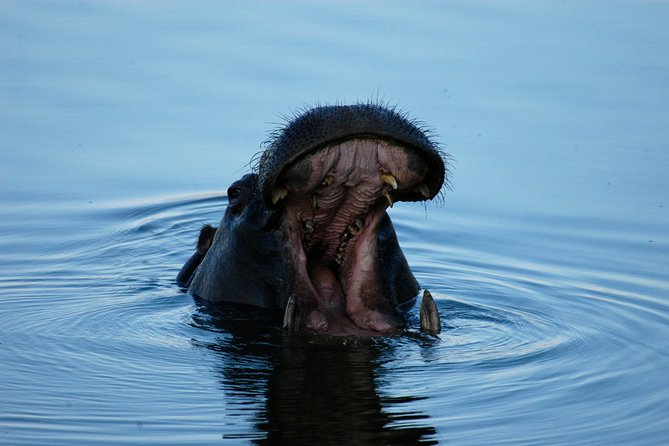 13 Days Best Of Zimbabwe - Victoria Falls and the Zambezi River set the tone