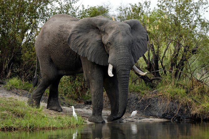 13 Days Best Of Zimbabwe - Gonarezhou is the tour’s wildest-feeling wildlife section