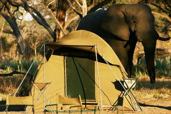 2-Day Camping Safari in Chobe National Park from Victoria Falls - Three hours on the Chobe River