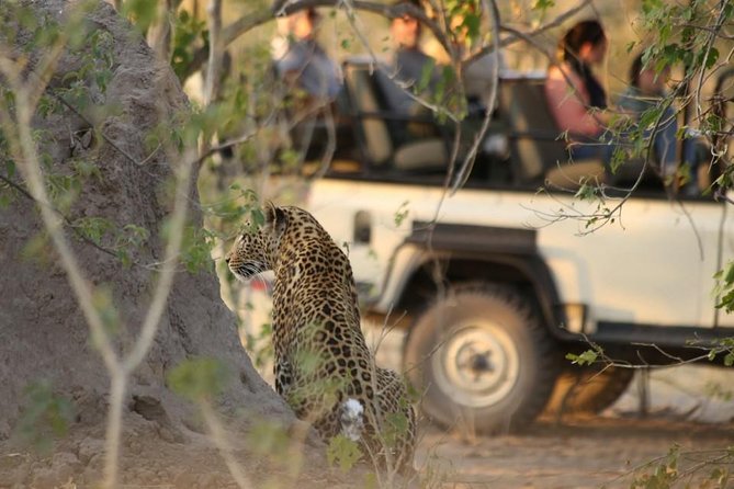 2-Day Camping Safari in Chobe National Park from Victoria Falls - What the $525 price really covers