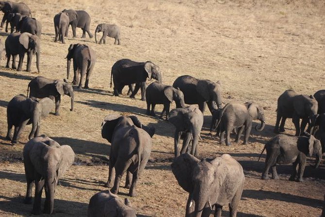 2-Day Camping Safari in Chobe National Park from Victoria Falls - Who will enjoy this two-day Chobe safari