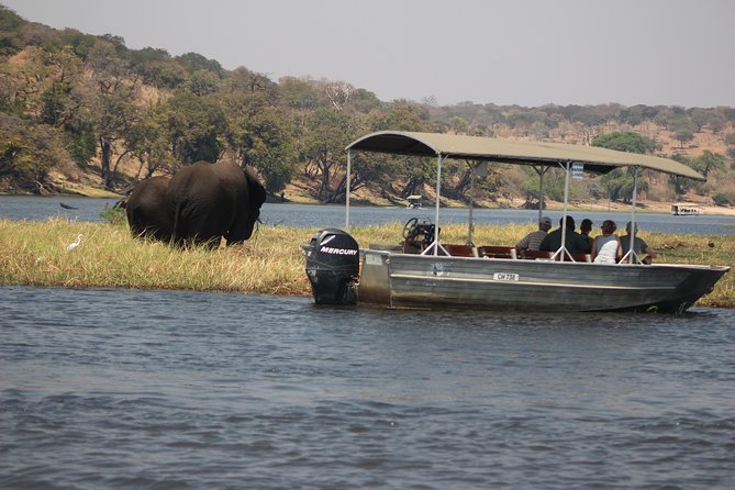 2-Day Camping Safari in Chobe National Park from Victoria Falls - Should you book the Chobe overnight safari?