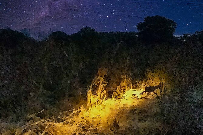 2 Hour Stargazing Tour in Victoria Falls NP Area in 4x4 - Guide Aaron and the human side of the tour