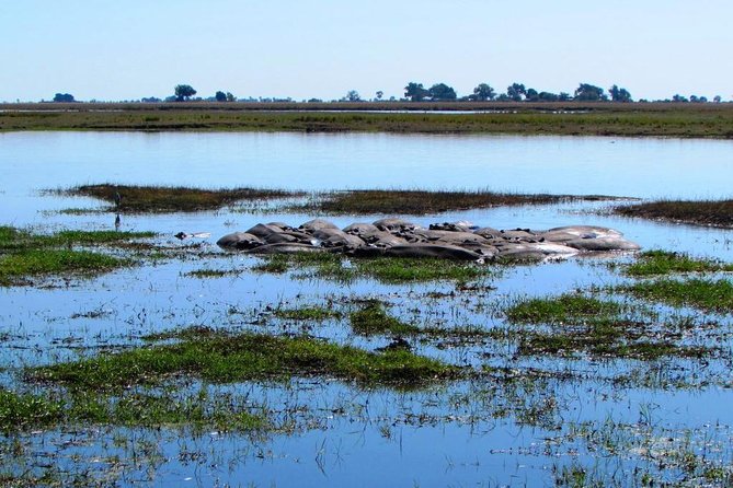 3 Day Chobe National Park Camping Safari - Three days from Victoria Falls into Chobe