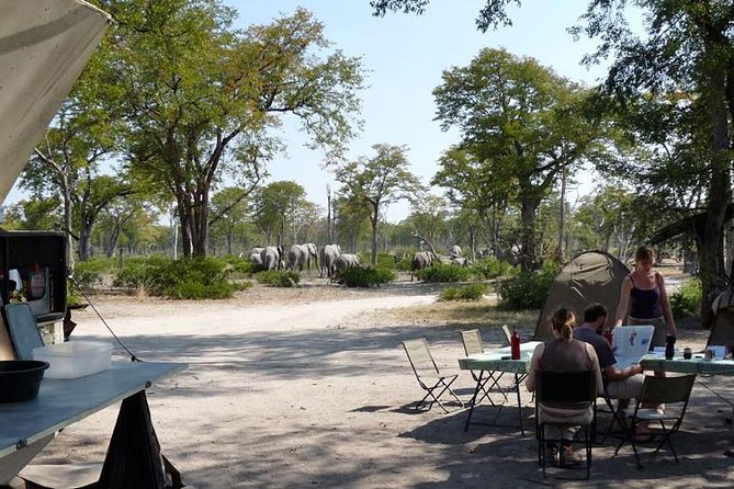 3 Day Chobe National Park Camping Safari - The dome tent and what camping really means here