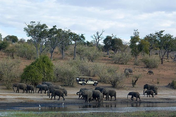 3 Day Chobe National Park Camping Safari - Who will enjoy this Chobe safari most