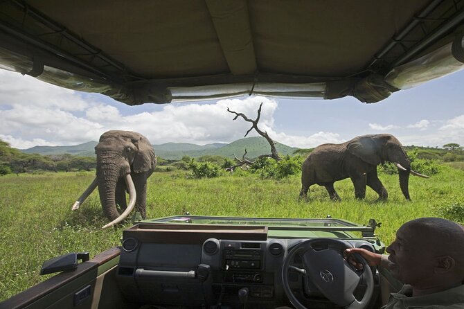 3-Day Victoria Falls Safari with Dinner Cruise - Day 3: Breakfast, departure, and airport timing