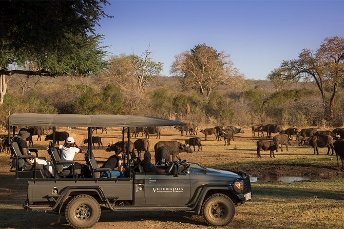 3-Day Victoria Falls Safari with Dinner Cruise - Guides, communication, and group size
