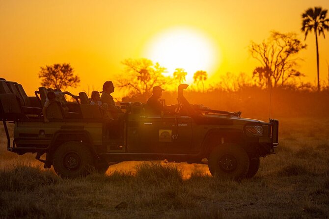 3-Day Victoria Falls Safari with Dinner Cruise - Day 1: From Victoria Falls Airport to a Zambezi dinner