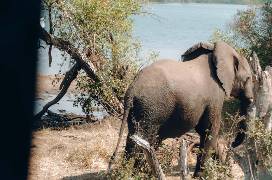 3 Days Explore Zambia, Zimbabwe and Chobe Park in Botswana - Why this three-country route works