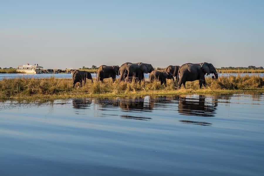3 Days Explore Zambia, Zimbabwe and Chobe Park in Botswana - Day 2: Mukuni Village and Victoria Falls from Zimbabwe
