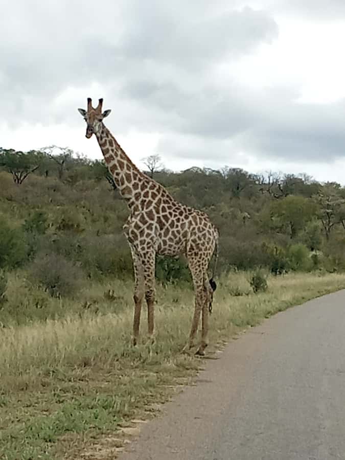 3 Days Victoria Falls and Full day Chobe National Park - Price and the real cost of the experience