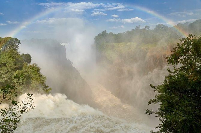 4-Day Discover Victoria Falls, Chobe and Hwange Park - Day 3: Hwange means an early start and a long safari day