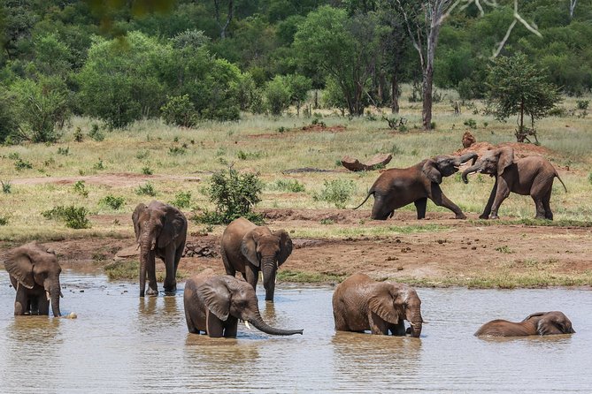 4-Day Discover Victoria Falls, Chobe and Hwange Park - The lodging and meals package