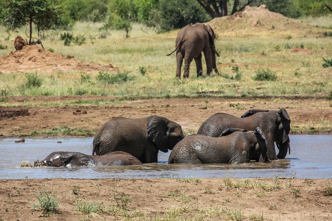 4-Day Discover Victoria Falls, Chobe and Hwange Park - Guides, transfers, and the small-group setup