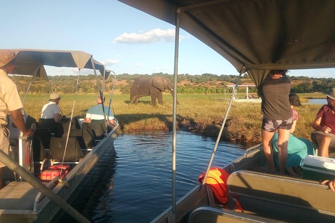 4-Day Discover Victoria Falls, Chobe and Hwange Park - Is $1,040 good value?