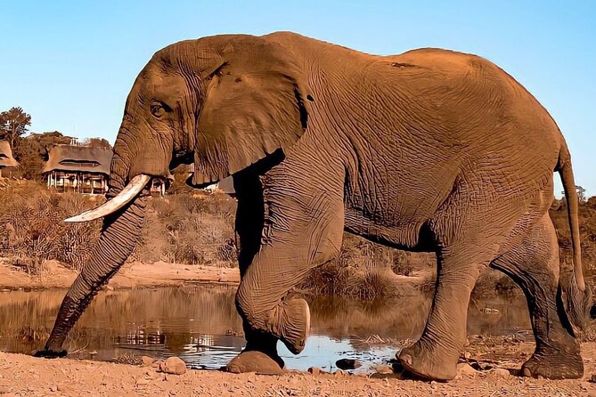 4 Days Victoria Falls Safari Tour & Chobe National Park game drive - Transport, group size, and daily comfort