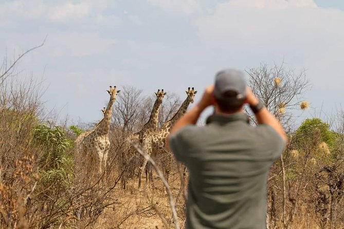 4 Days Victoria Falls Zimbabwe with Chobe National Park Safari Botswana and Livingstone Zambia - Who will get the most from this trip