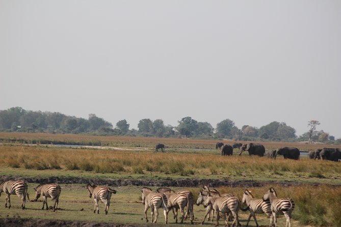 5-DAY Victoria Falls and Chobe National Park - Arrival at Elephant Hills and a Zambezi sunset