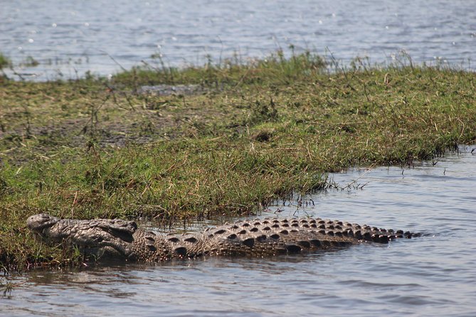 5-DAY Victoria Falls and Chobe National Park - A full Chobe day by boat and 4x4