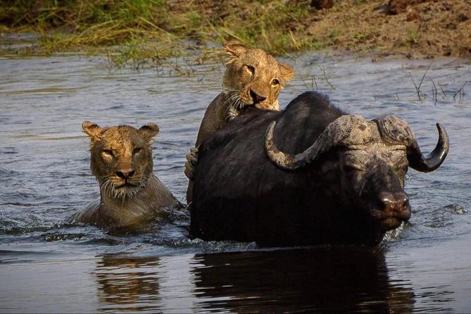 5 Day Victoria Falls and Chobe National Park Camping Tour - Simon and the Africa Beast Safaris team