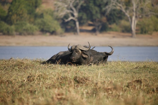 5 Day Victoria Falls and Chobe National Park Luxury Accommodated Tour - How the service shapes the experience