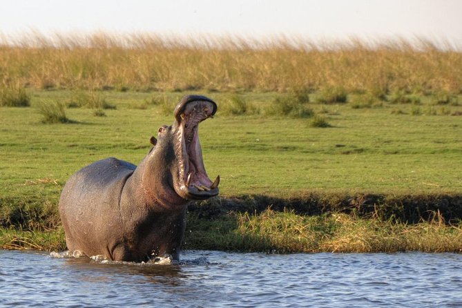 5 Day Victoria Falls and Chobe National Park Luxury Accommodated Tour - Day 1: A private arrival followed by a sunset on the water