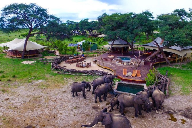 5 Day Victoria Falls and Hwange National Park Accommodated Safari Tour - Day 1: A two-hour sunset cruise on the upper Zambezi