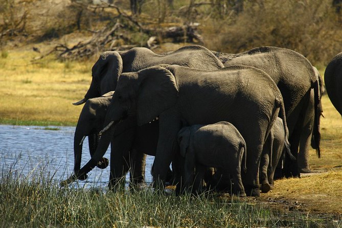 5 Day Victoria Falls and Hwange National Park Accommodated Safari Tour - Simon and the value of having one main contact