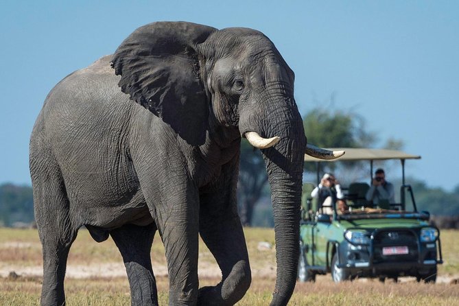 5 Day Victoria Falls and Hwange National Park Accommodated Safari Tour - Is $1,800 per person fair value?