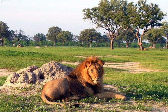 5 Day Victoria Falls and Hwange National Park Accommodated Safari Tour - Who will enjoy this safari most?