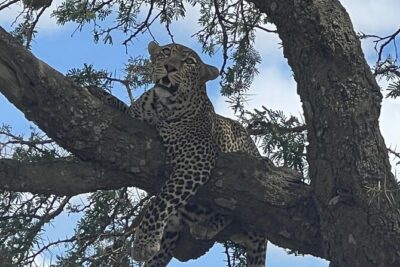5-Day Visit Zimbabwe, Zambia, Botswana & Namibia Island