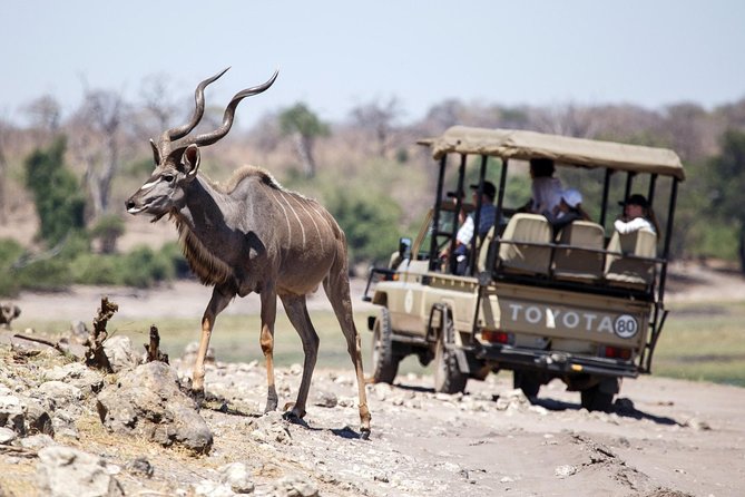 6-day Hwange, Chobe & Victoria Falls Combo - Three headline sights in six days