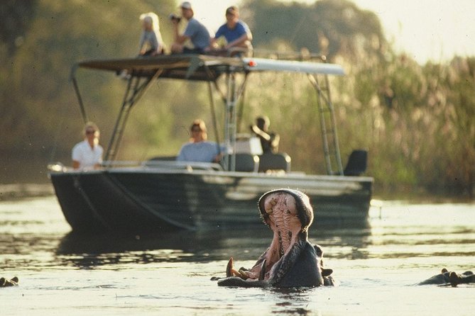 6-day Hwange, Chobe & Victoria Falls Combo - Days 2 and 3: Full safari days in Hwange National Park