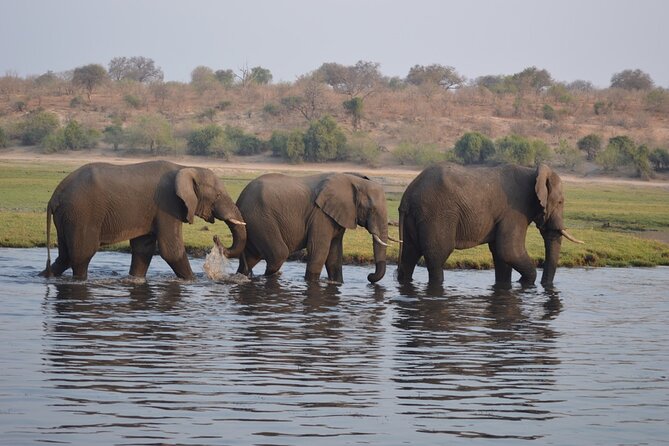 6 Days Victoria Falls Chobe Wildlife and Okavango Delta Tour - The long road to Makgadikgadi Salt Pan