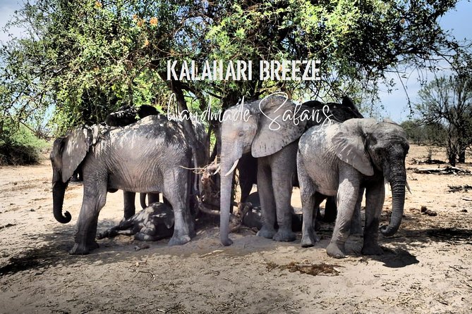 7 Day Highlights Of Botswana Overland Tour – ACCOMODATED (midrange) - Day 3: Chobe elephants, then an evening at Elephant Sands