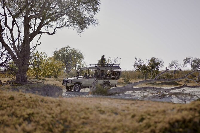 8 Day Chobe NP, Elephant Sands, Okavango Delta & Victoria Falls - Key Points at a Glance