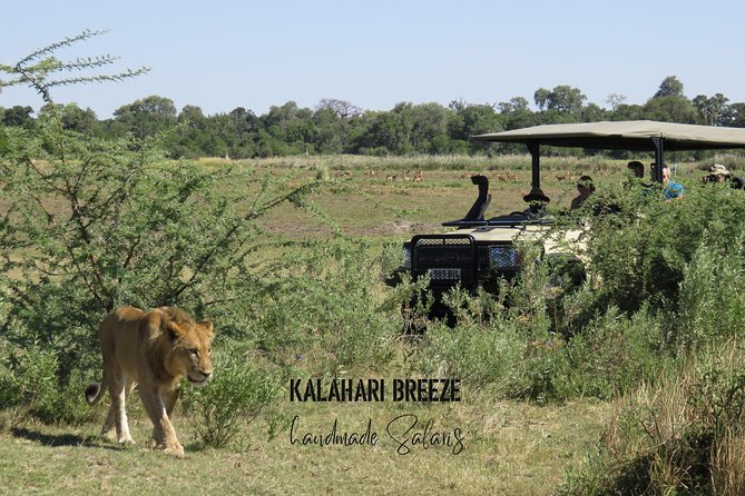 8 Day Highlights Of Botswana & Victoria Falls Overland Tour - Day 5: Meerkats, then the Okavango by mokoro