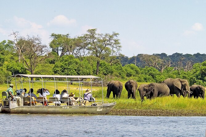 A 2 Day Victoria Falls & Chobe Safari Combo - Six hours in Chobe National Park