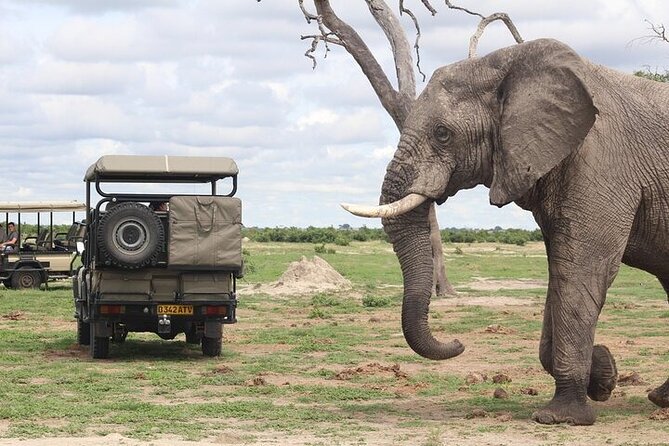 A 2 Day Victoria Falls & Chobe Safari Combo - Who will get the most from this tour?