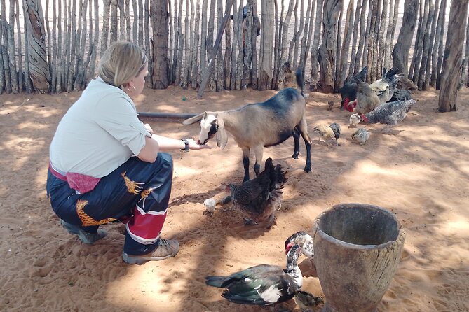 African Village Tours - Key points at a glance