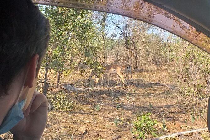 Airport, Hotel and local transfers in Victoria Falls - A wildlife-lined arrival at Victoria Falls