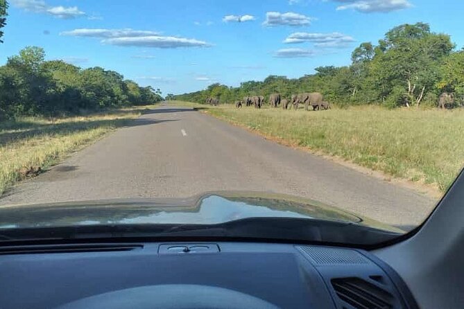 Airport, Hotel and local transfers in Victoria Falls - Finding your driver at the airport