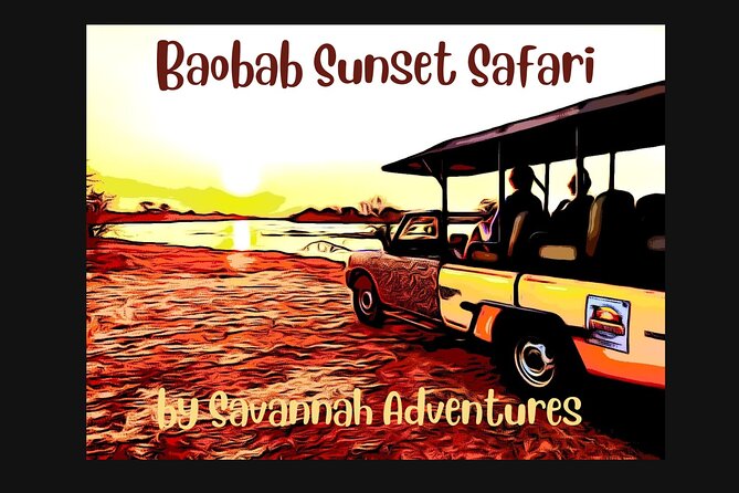 Baobab-Sunrise-Sunset-Vulture-Moonlight Safaris, 4 Options - Key points to know before booking