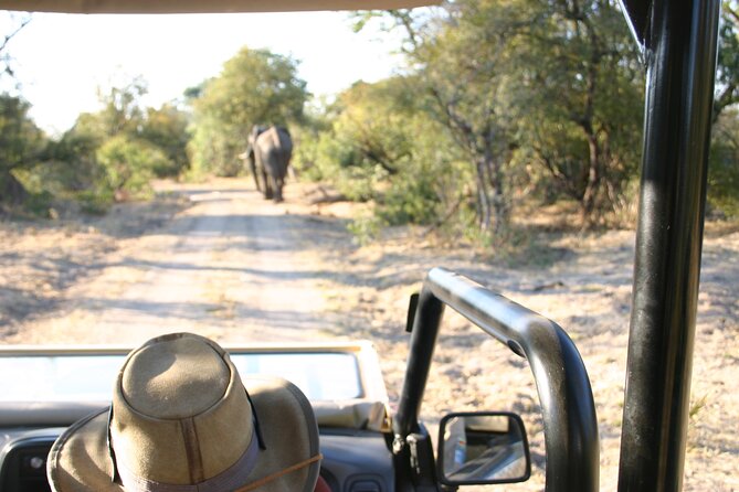 Baobab-Sunrise-Sunset-Vulture-Moonlight Safaris, 4 Options - A safari Jeep ride that starts in town
