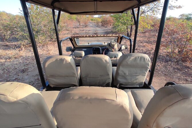 Baobab-Sunrise-Sunset-Vulture-Moonlight Safaris, 4 Options - Four choices, four different moods