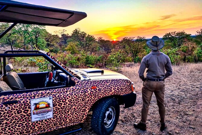 Baobab-Sunrise-Sunset-Vulture-Moonlight Safaris, 4 Options - The booking mistake you can easily avoid