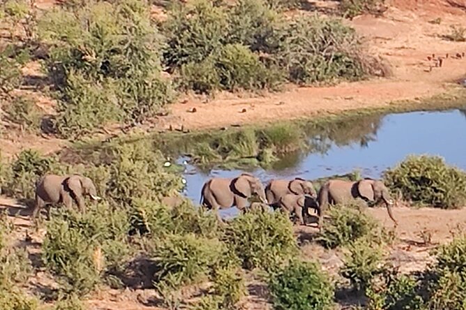 Baobab-Sunrise-Sunset-Vulture-Moonlight Safaris, 4 Options - Who will enjoy this Victoria Falls safari most